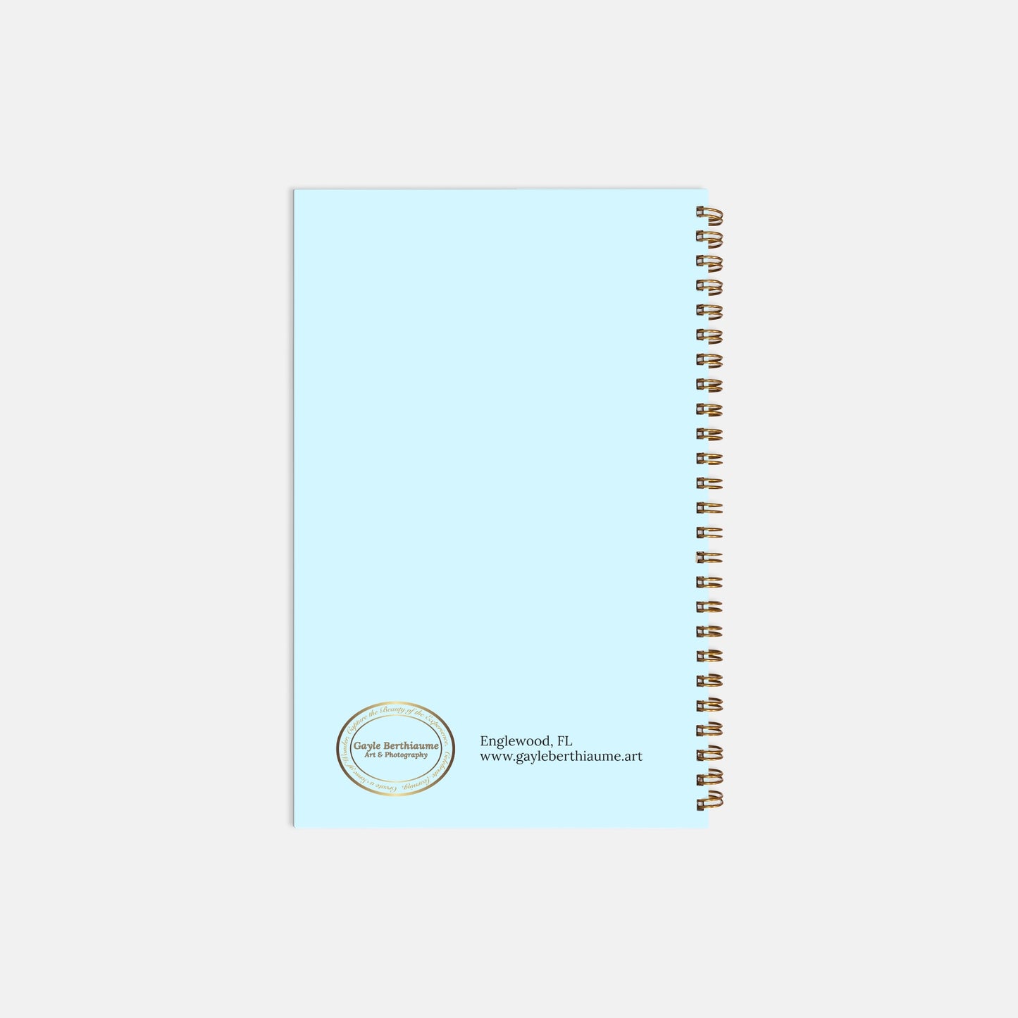 Good Times Good Friends Recipe Softcover Spiral Book 5.5 x 8.5 Blue
