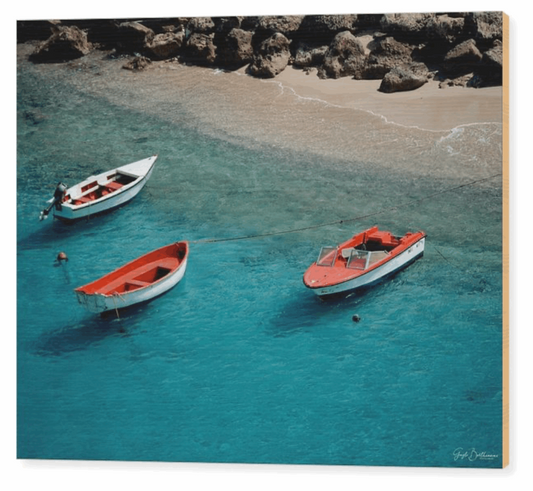 Boats of Bonaire - Wood Print