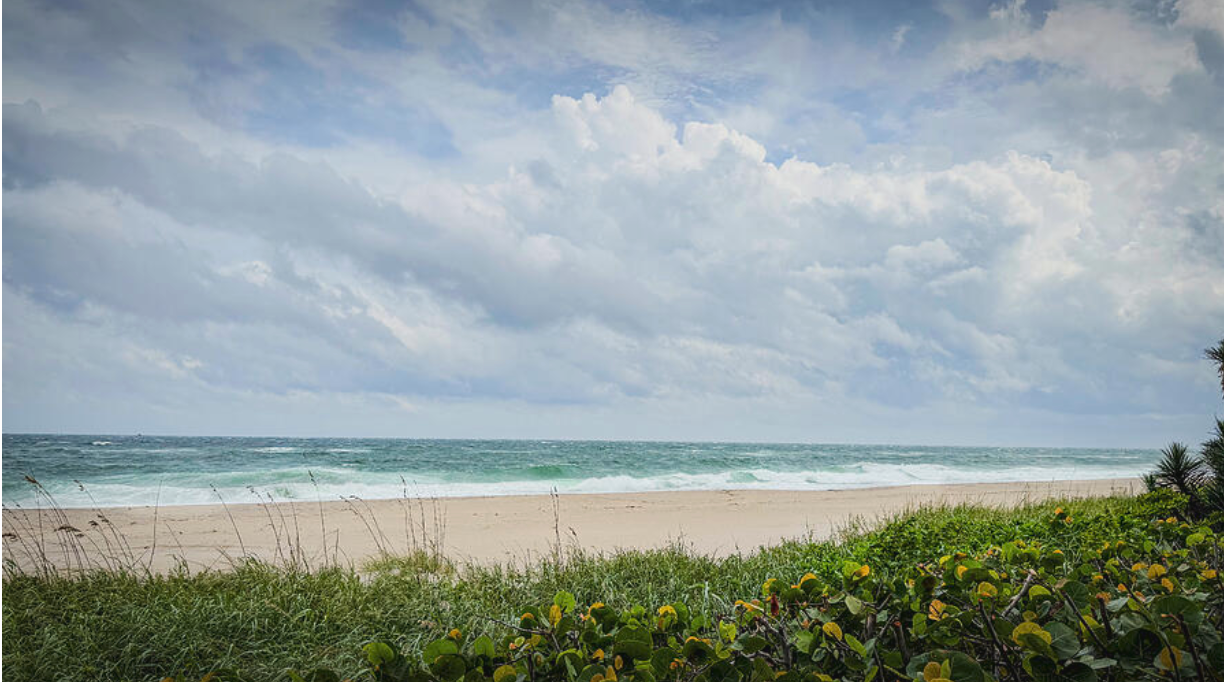 Calm Before the Hurricane