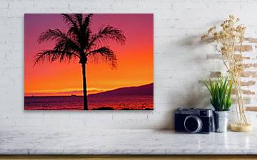 Hot Pink Palm - Acrylic Print