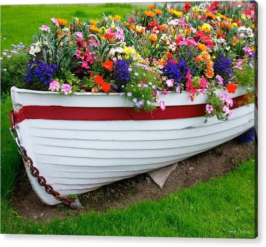 Kinsale Boat of Flowers - Acrylic Print