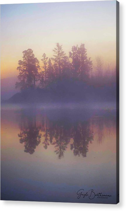 Early Morning Trees - Acrylic Print
