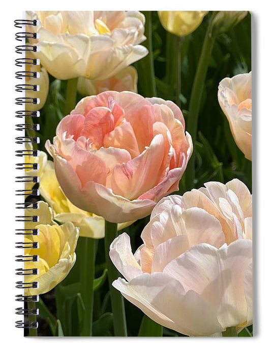 Pink and Yellow Love - Spiral Notebook