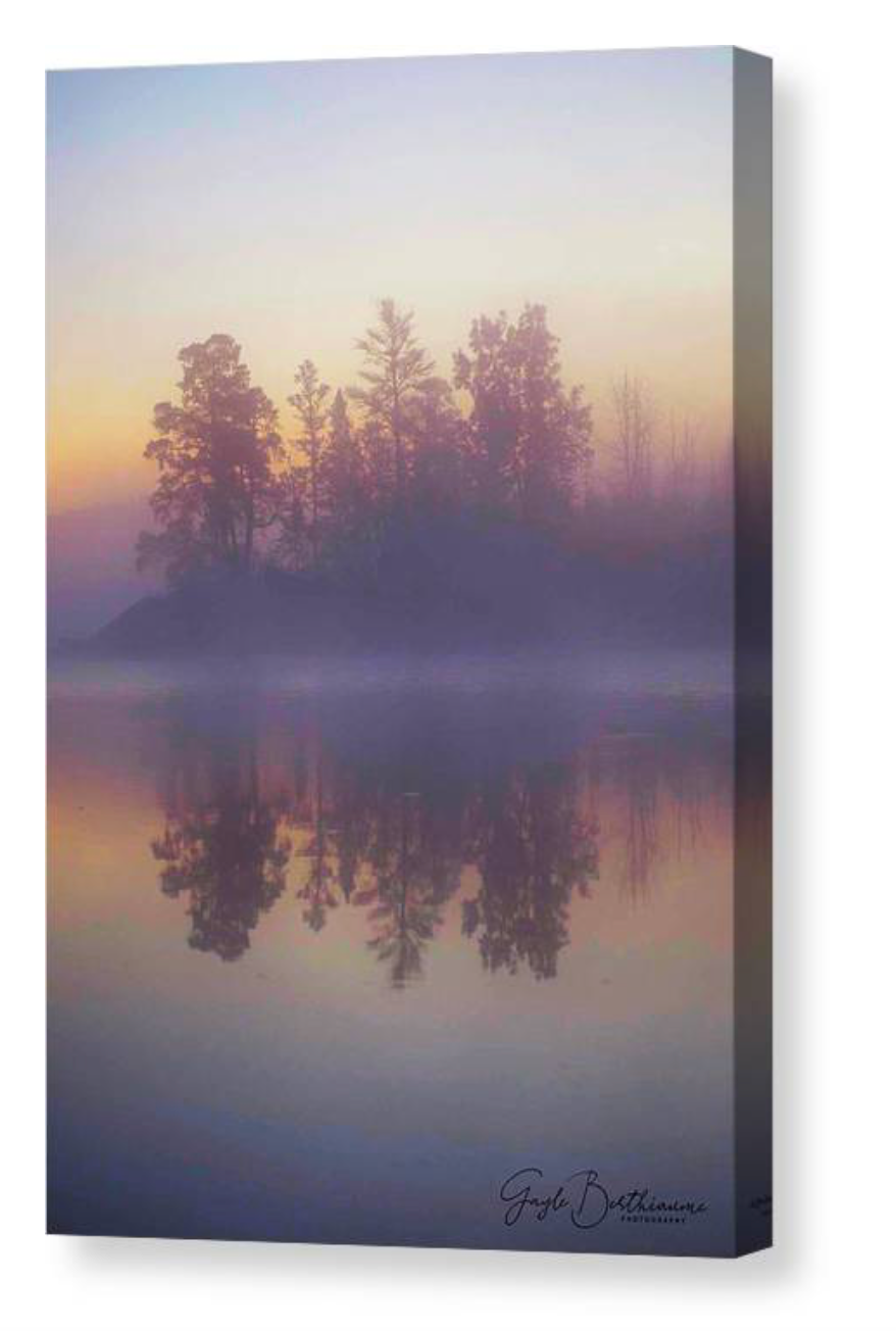 Early Morning Trees - Canvas Print