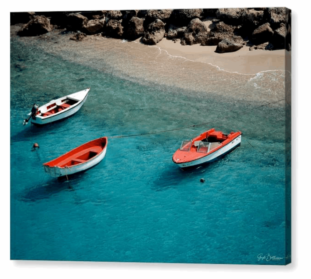 Boats of Bonaire - Canvas Print