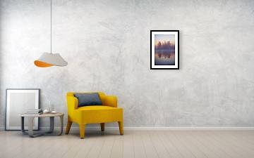 Early Morning Trees - Framed Print