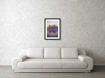 Early Morning Trees - Framed Print