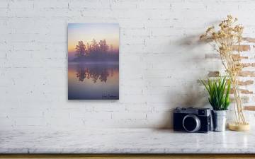 Early Morning Trees - Canvas Print