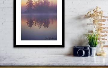 Early Morning Trees - Framed Print