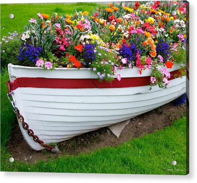 Kinsale Boat of Flowers - Acrylic Print