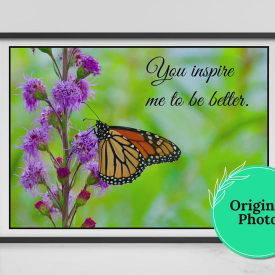 Butterfly Inspirational Quote | Created By Gayle