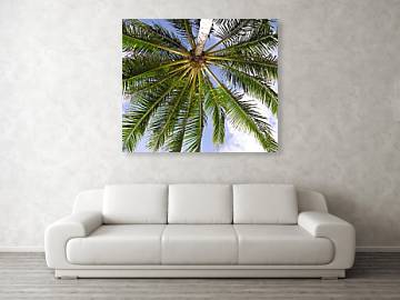 Under the Palm - Acrylic Print