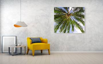 Under the Palm - Acrylic Print