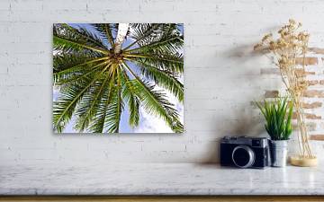 Under the Palm - Acrylic Print