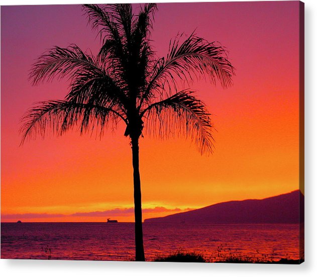 Hot Pink Palm - Acrylic Print