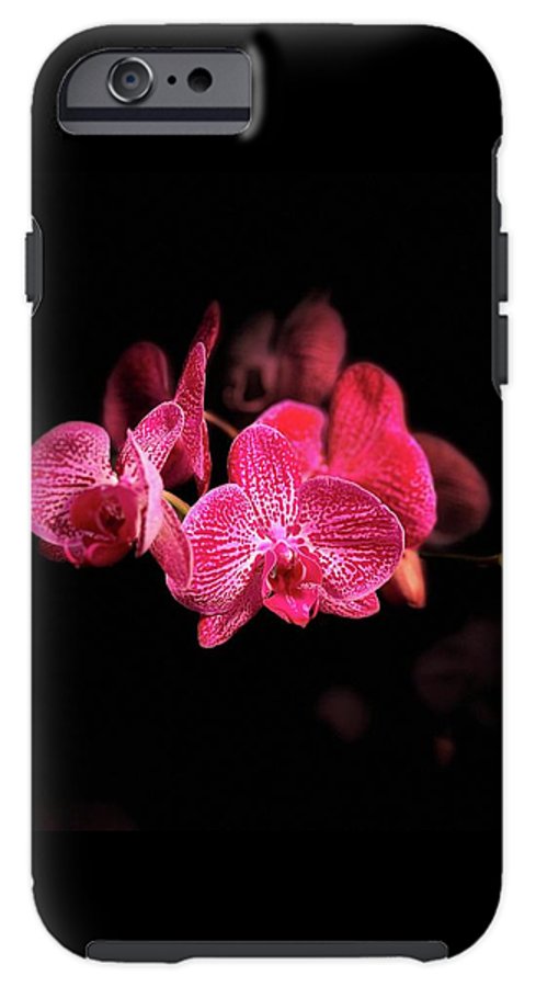 Orchid in Black - Phone Case