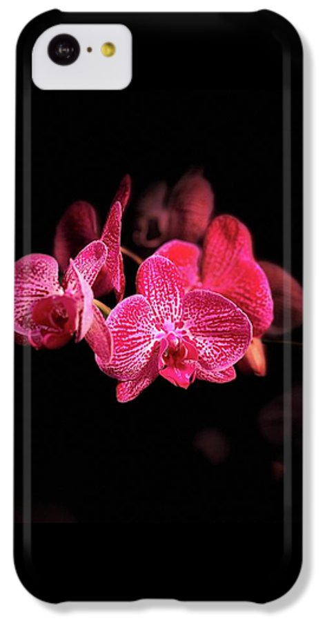 Orchid in Black - Phone Case