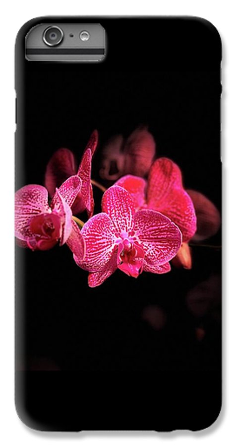 Orchid in Black - Phone Case