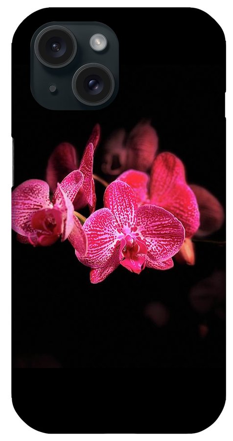 Orchid in Black - Phone Case