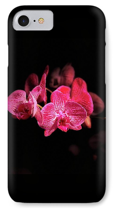 Orchid in Black - Phone Case
