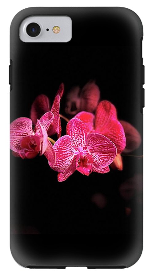 Orchid in Black - Phone Case