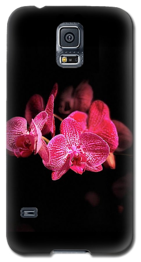 Orchid in Black - Phone Case
