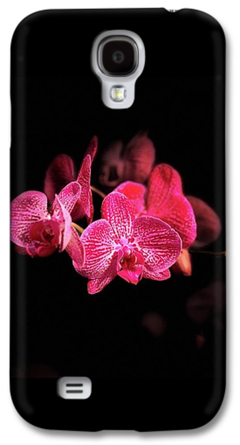 Orchid in Black - Phone Case