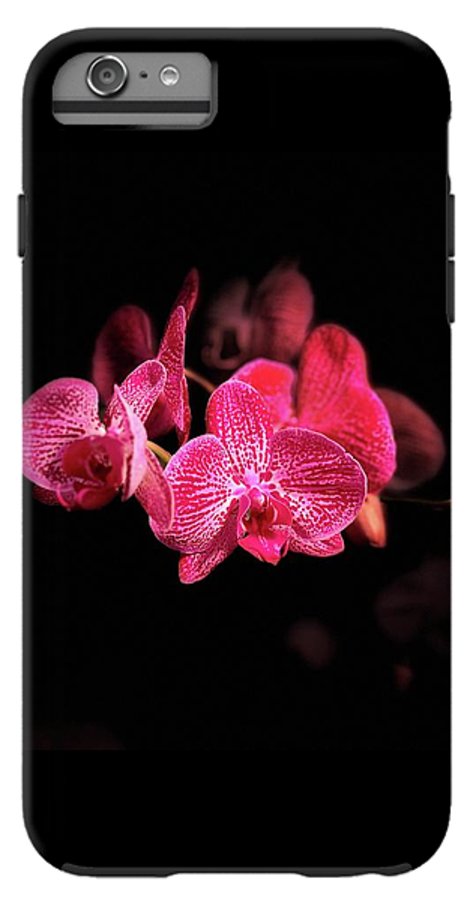 Orchid in Black - Phone Case