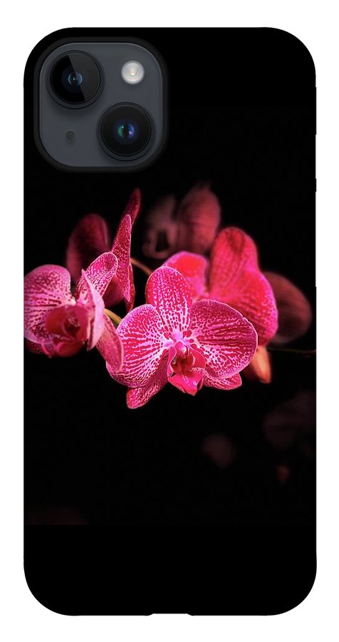 Orchid in Black - Phone Case