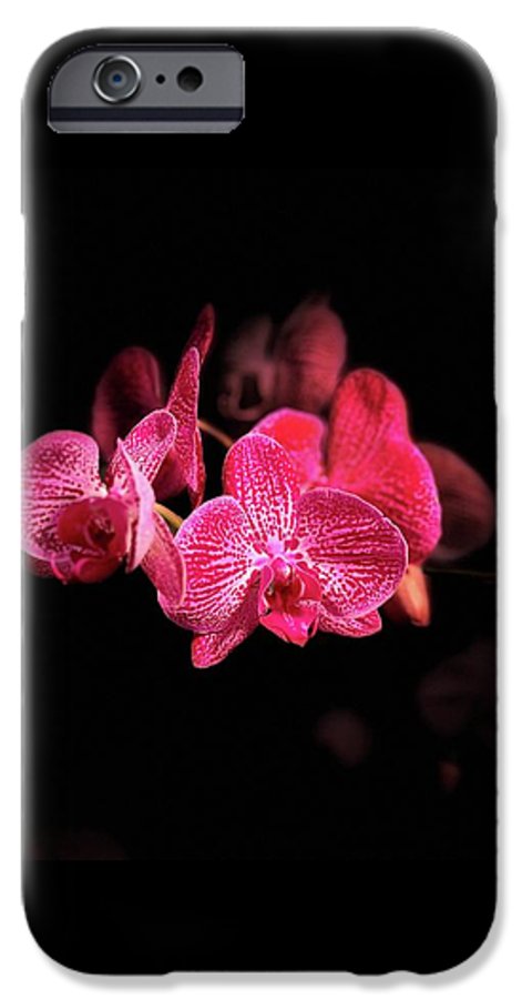 Orchid in Black - Phone Case