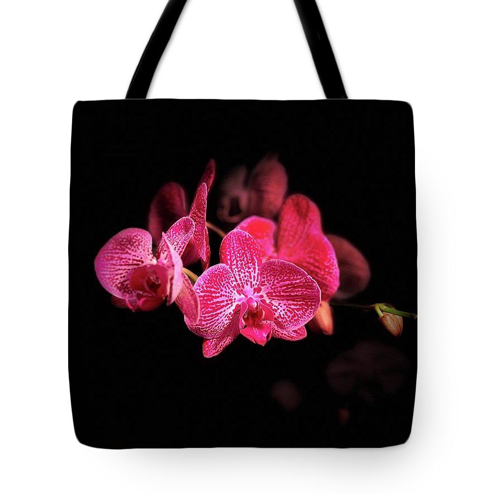 Orchid in Black - Tote Bag