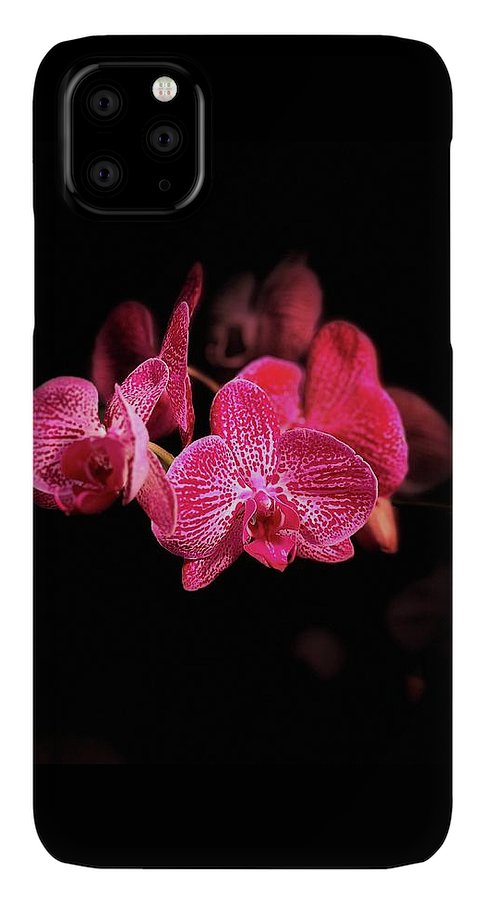 Orchid in Black - Phone Case