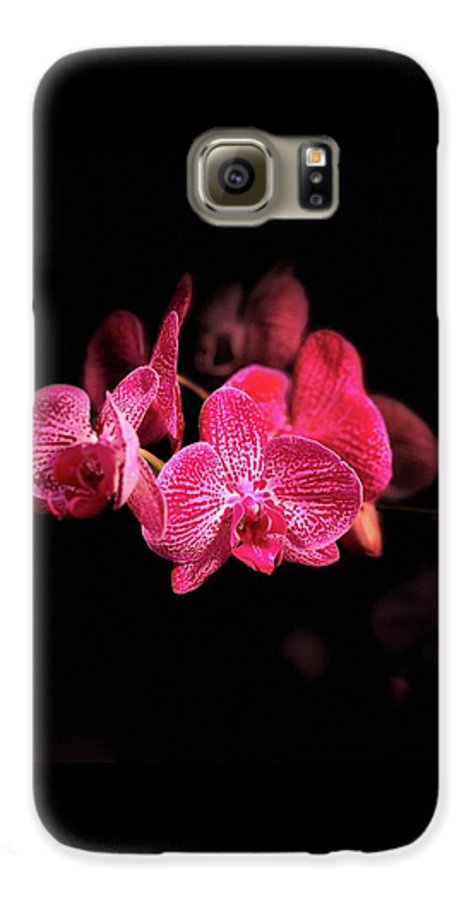 Orchid in Black - Phone Case