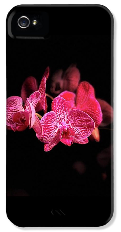Orchid in Black - Phone Case