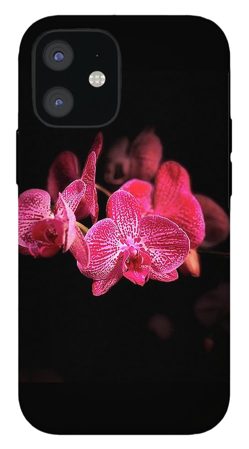 Orchid in Black - Phone Case
