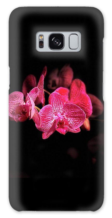 Orchid in Black - Phone Case