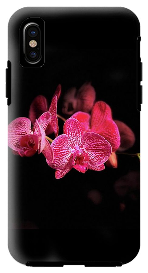 Orchid in Black - Phone Case