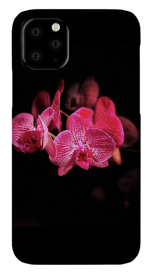 Orchid in Black - Phone Case