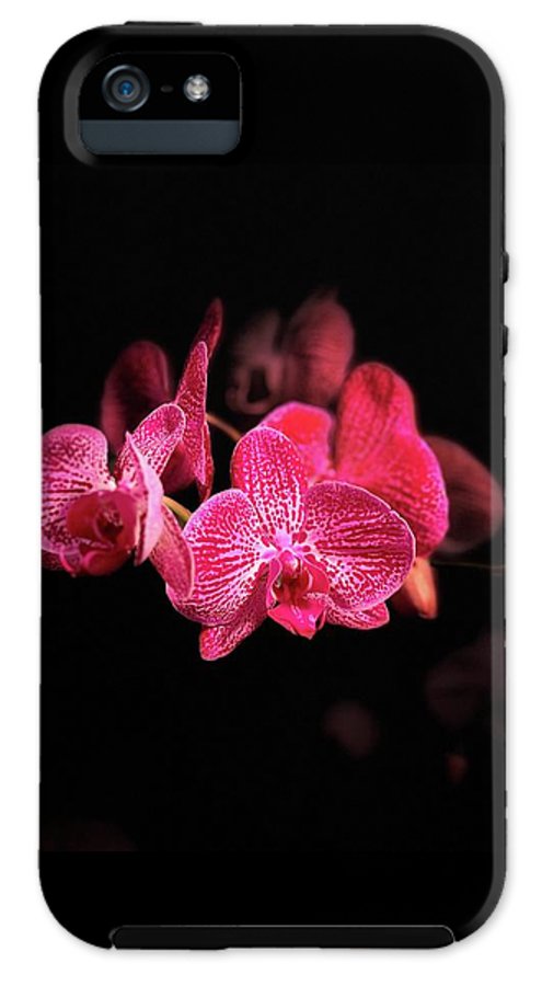 Orchid in Black - Phone Case