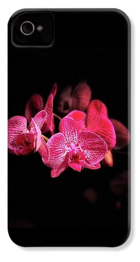 Orchid in Black - Phone Case