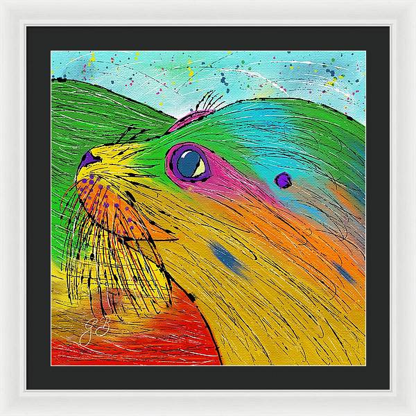 Seal Celebration - Framed Print