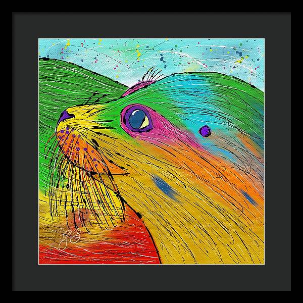 Seal Celebration - Framed Print