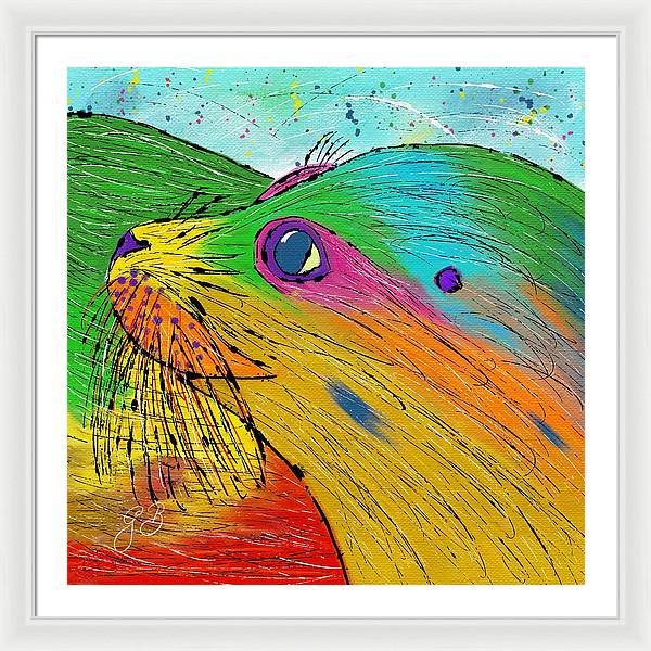 Seal Celebration - Framed Print